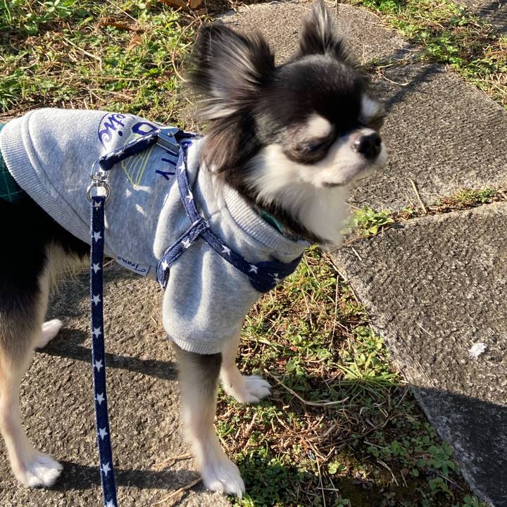 928aba1d 94b1 4f07 9c0c 4706c4f8bb35 1639198463306