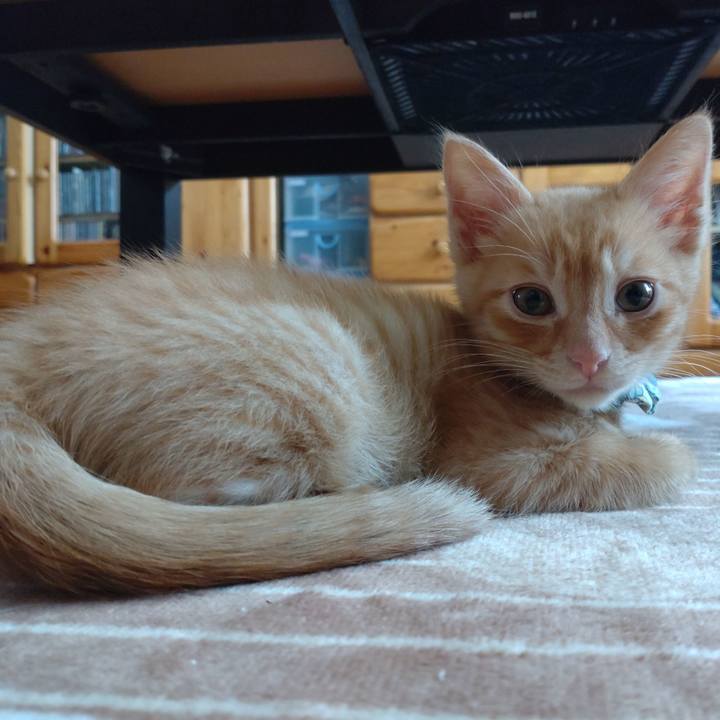 928ae3a0 284f 445b 9353 80d55abd295a 1669681734252