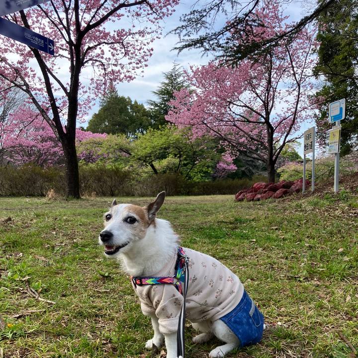 928af10e 7ea9 45ff 983a f1c0c36a127a 1711927447795