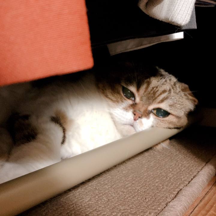 928b05be 15f5 4014 b192 257421af6bc0 1569755628180