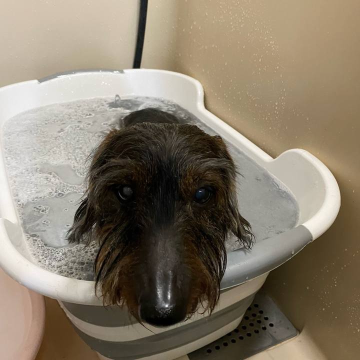 928b538a c0ae 4bcf b47a 3ad2ce518b39 1644675823498