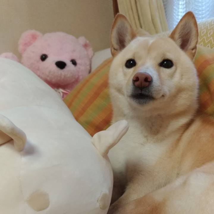 928b656b 4d4b 4cda b6f7 5f6036eb0984 1543360623100