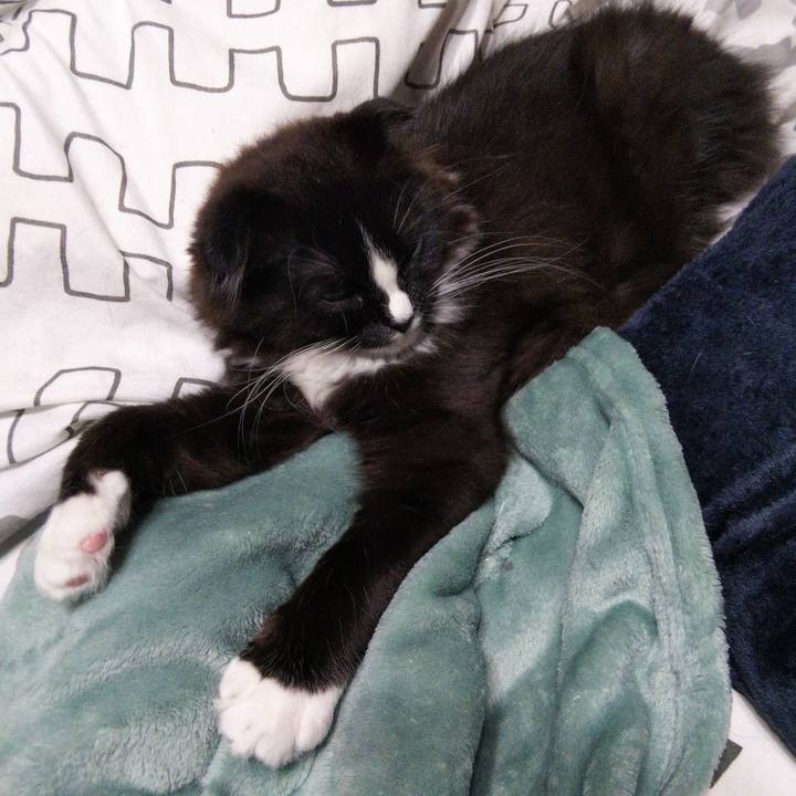 928b8333 6466 4c84 8295 3d8365b04047 1641508184662