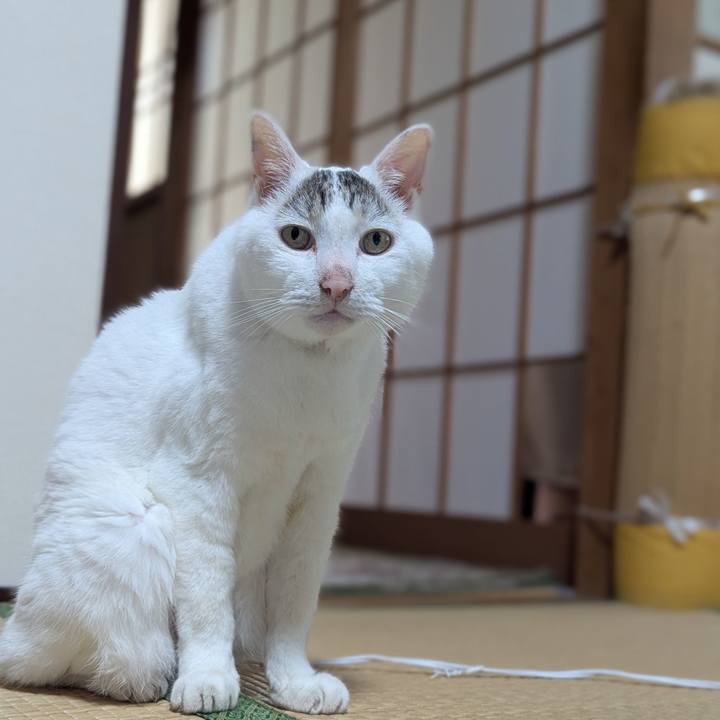 928bca65 216a 46ff b902 e5d7d8a52373 1752158168350