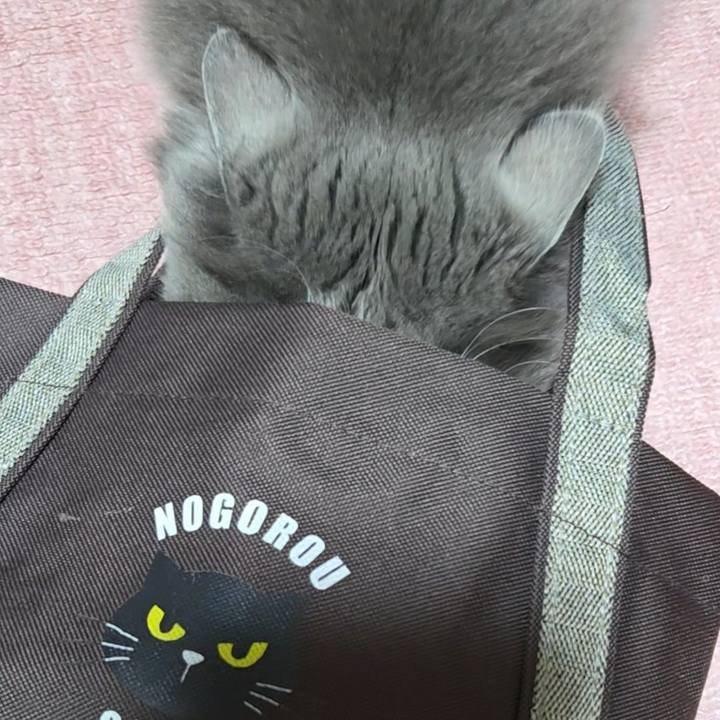 928bd3c6 8028 486a b0d3 388a7d48fa54 1772106167744