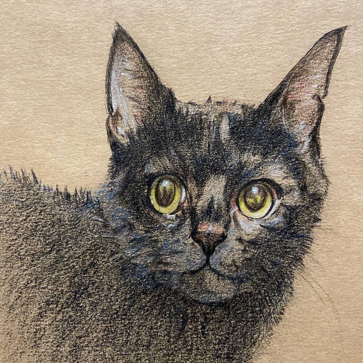 928be82a ff1d 4380 9196 1c4570bad50b 1617289174852