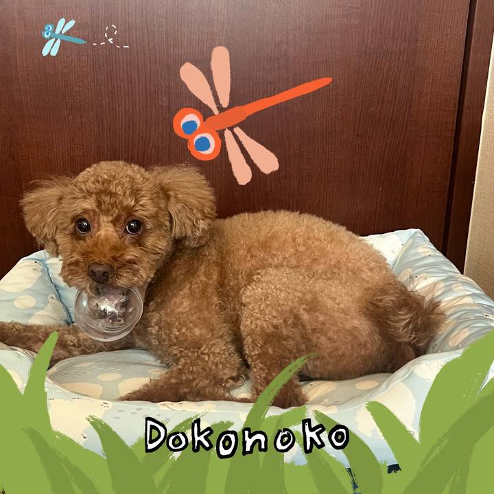 928c87fa 00bd 4a75 840d 099b7b60a4ed 1727056296198