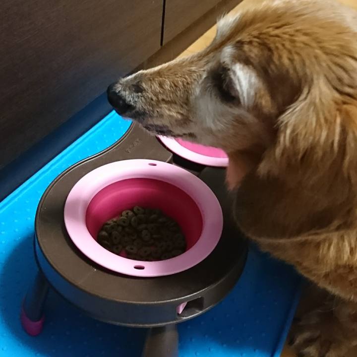 928cb4b6 63fd 4e90 819d 281237ea1eb7 1508062823644