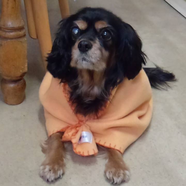 928d088b d437 4094 8a4f 1774b88a9999 1513135334475