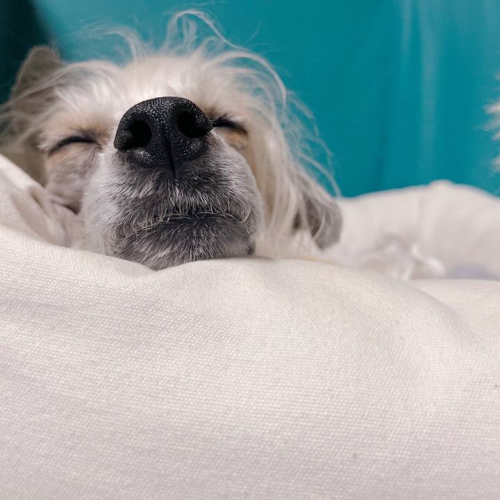 928d0ad0 88a7 4297 ac18 2da5cfa075cb 1759569490426