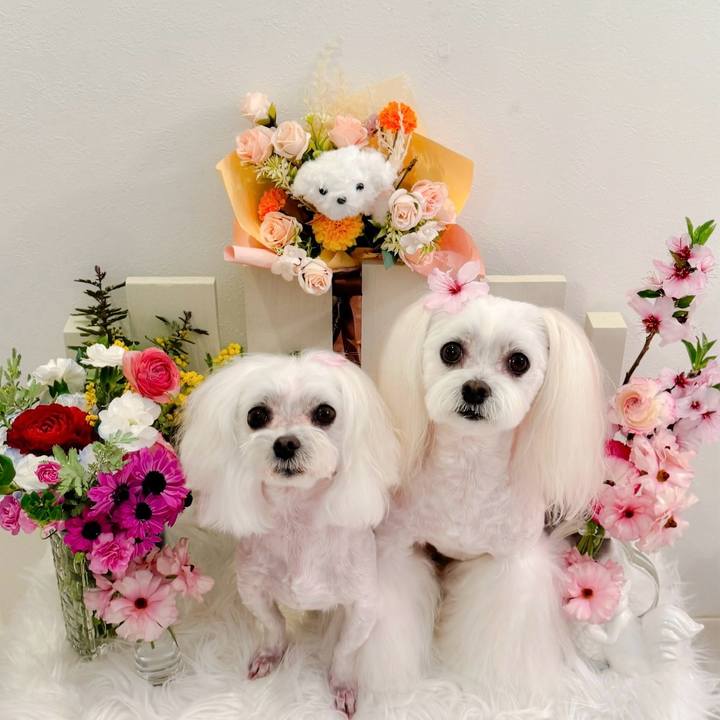 928d23f8 a09f 4586 868f b677f4a9b3b3 1742974641878