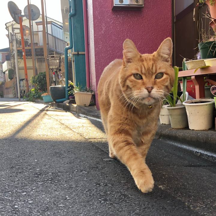 928d6efa 6574 4423 b01a bbe8b20a6a23 1643881963593