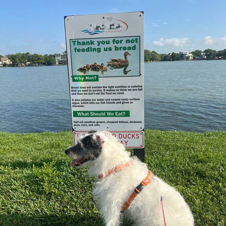 928d8d8d 0b8c 426a 8409 cd5b191339ca 1747309488191