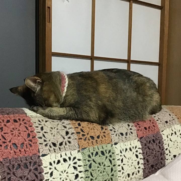 928dadcf f750 4742 9770 7a94f94a8d6e 1714038540342