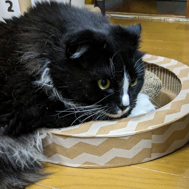 928dc54f 9d74 4803 a7f5 c609a3aa67a7 1680692521970