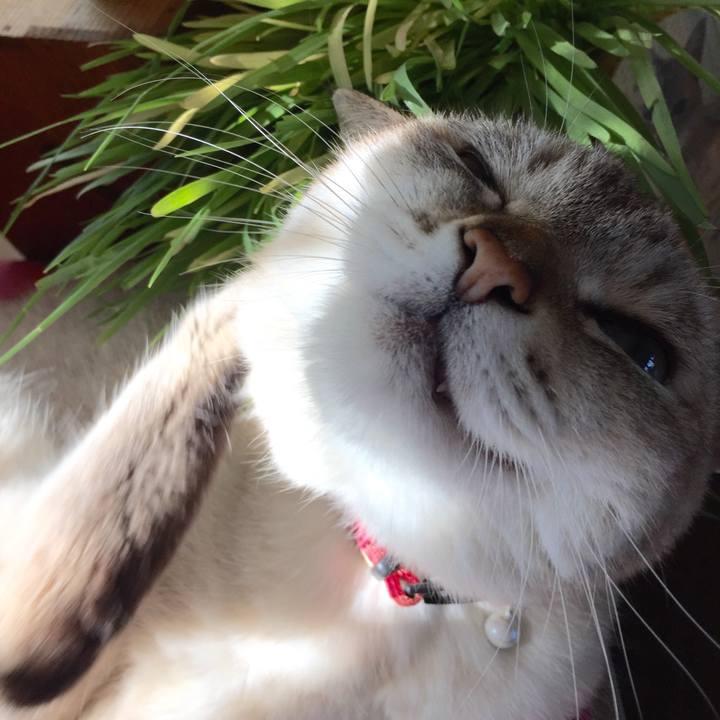 928e11cf 170c 48ff 9b19 c5b9ca9d1293 1538527310924