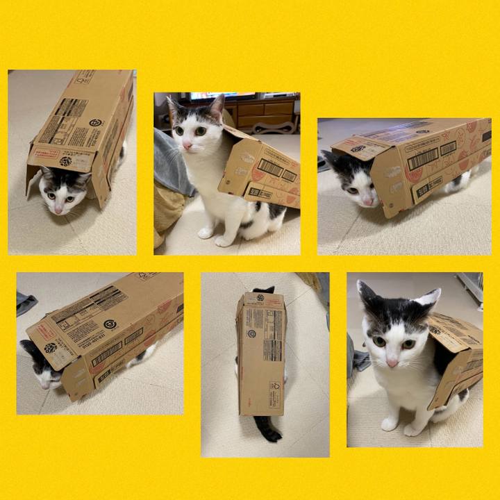 928e2b3d 2973 42fa bf26 cffea697540b 1763715869020