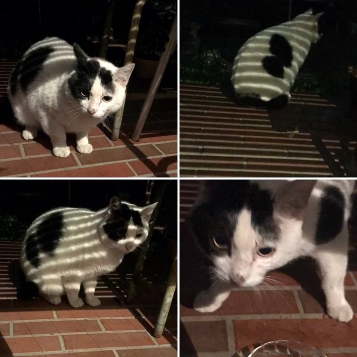 928e2db7 fe7c 4679 8d34 1ad44ec5513e 1606799342595