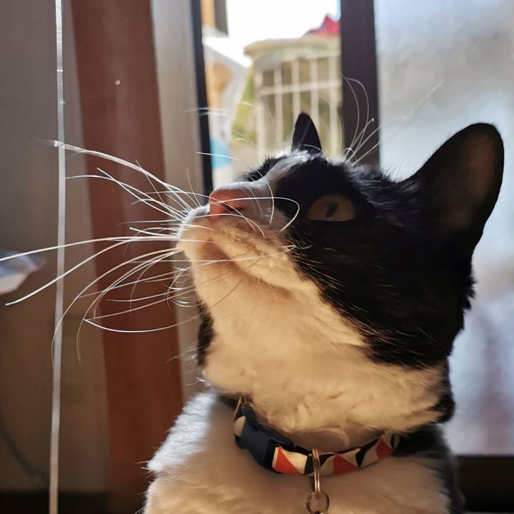 928e34c5 3a6b 4451 98c2 233edc71dc70 1636261554605