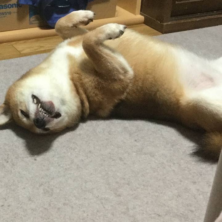 928e3cbd 2a17 4dfb bee3 24b0600301d4 1570024689534