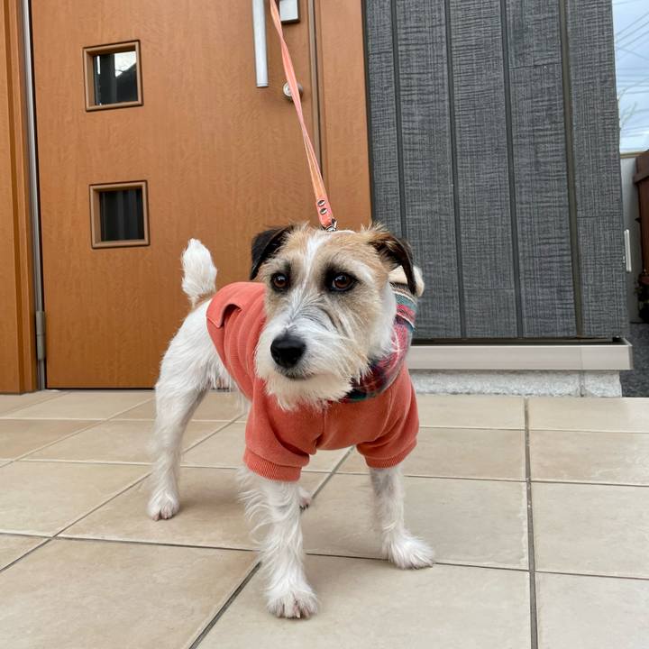 928e68d4 060f 4cae a920 b62dad3f4729 1645171436248