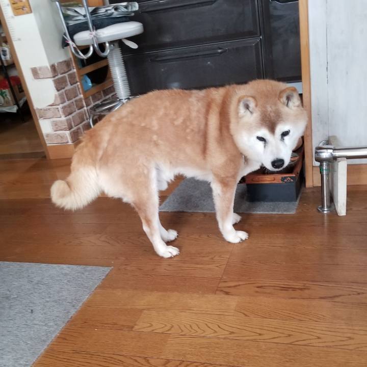 928e6b7e ac62 4dad 8c47 6985b1399404 1737686651221