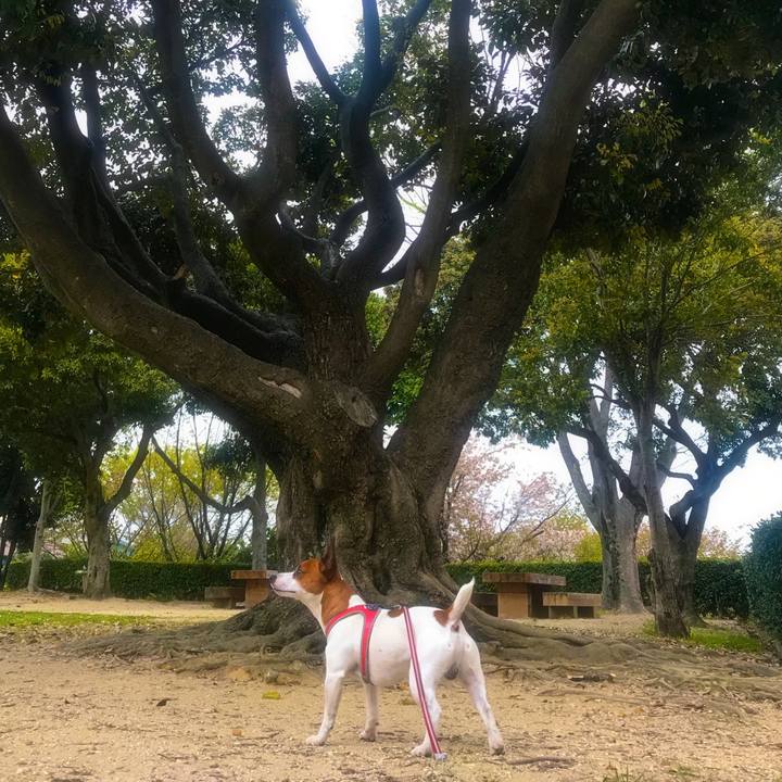 928e8650 e902 4f9e a4b5 3941e07daccb 1523131992069