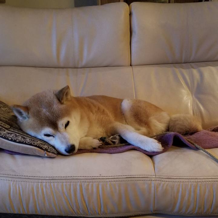 928e96ac e555 4dbe affd 823ff07dc83e 1696764873502