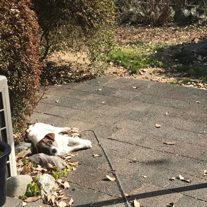 928f1726 630c 4dff 8555 d8d36fef88b2 1518837276952