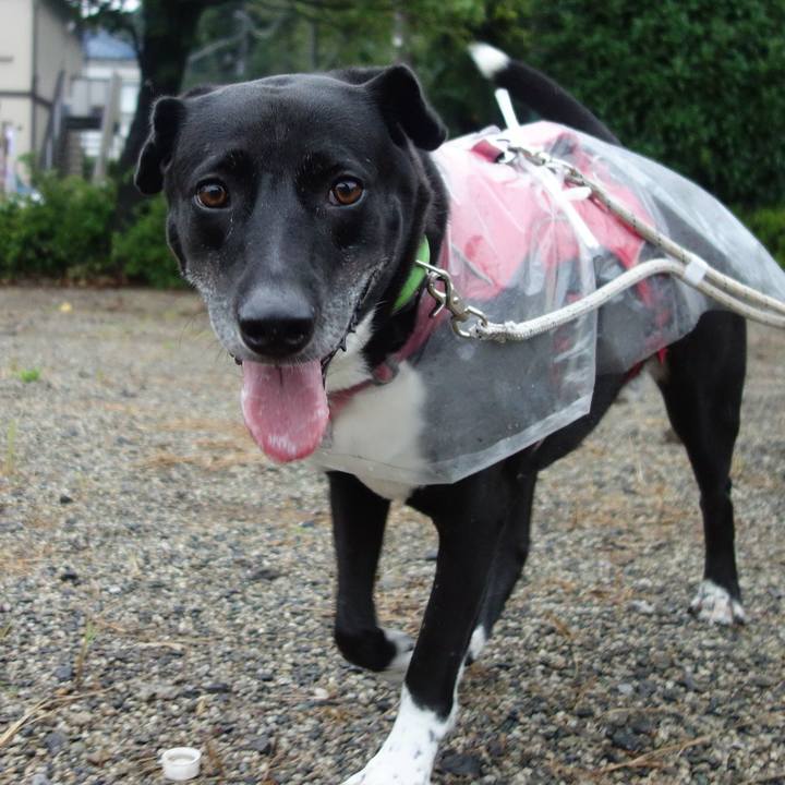 928f38ea 0d67 425e 895a 09f166170760 1663976505308