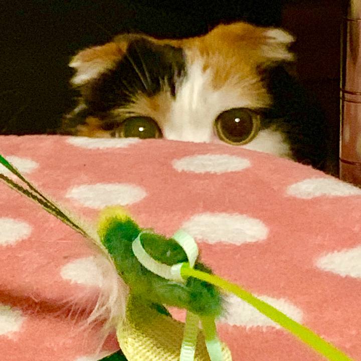 928f5227 727e 4135 a84e f60ce2cba15c 1565354921510