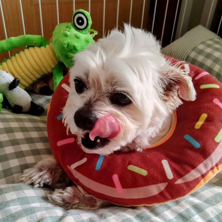 928f6e9d 8736 4d87 9a18 85b1a145c510 1745322029728