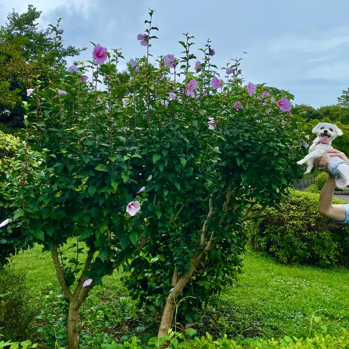 928f9ea2 8e10 4a61 a714 4822b9d2b742 1628559984563