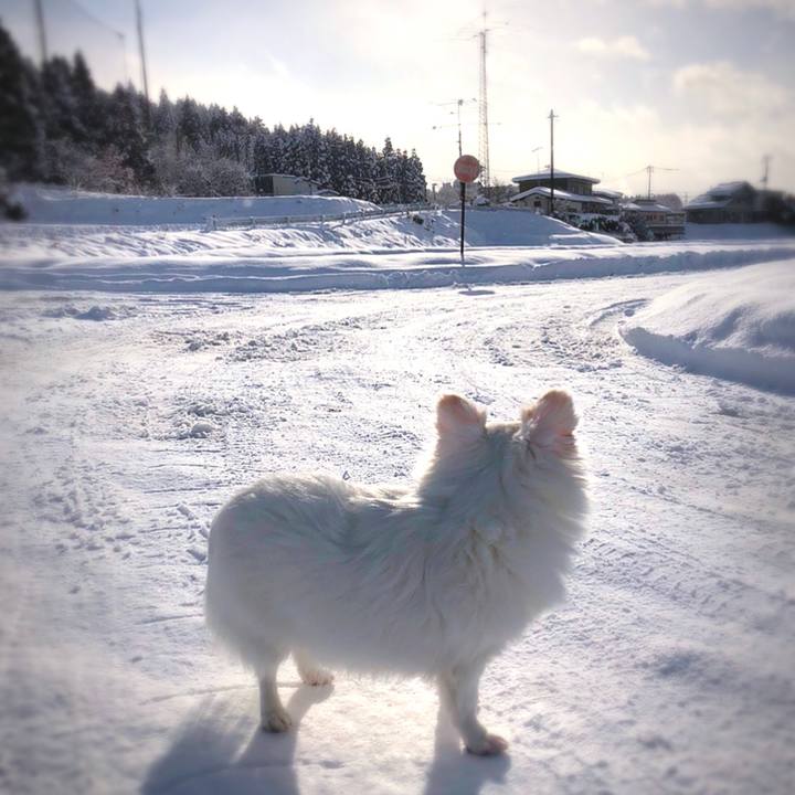 928fa0e8 d522 44be b5fb 9567a50b5551 1608124523933