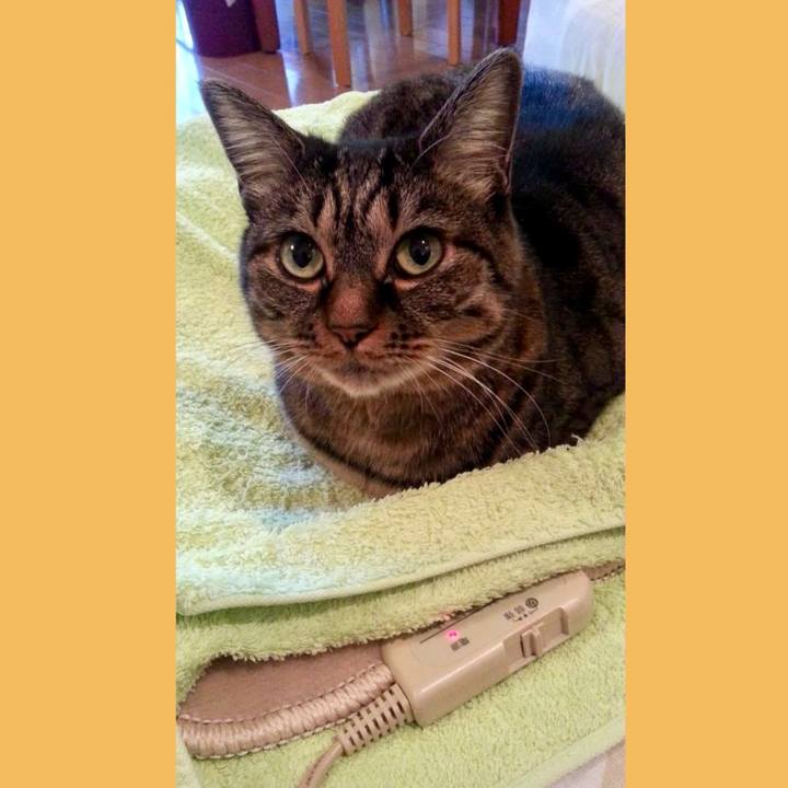 928fc036 6f24 4bfe a4fd 0f70b313173d 1765153978393