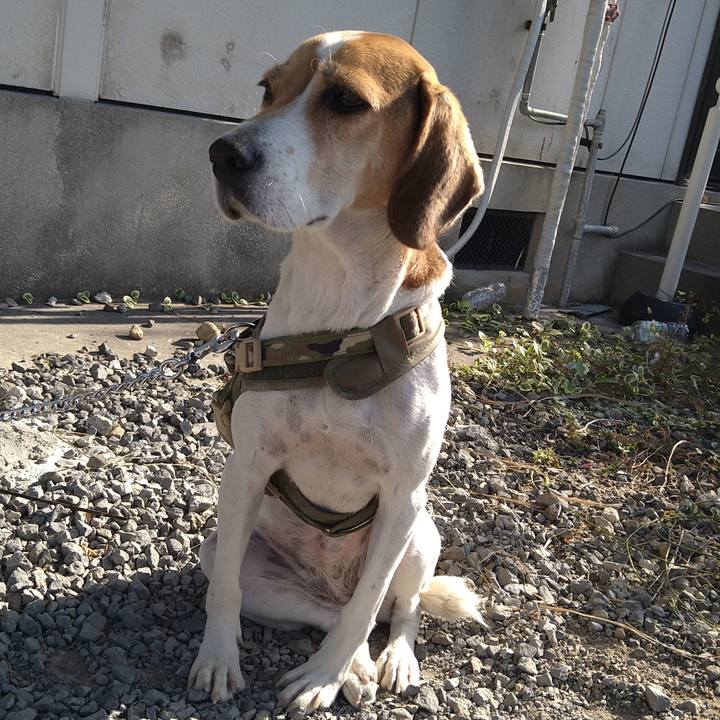 928fc61c b3b6 4721 af0f 3519f86d880a 1667620708376