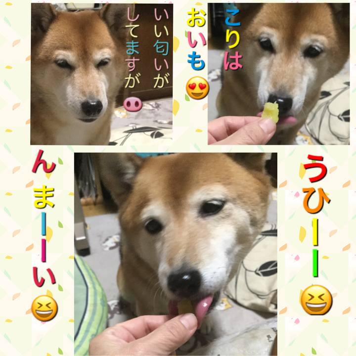 928fd245 63ad 4b9e b401 de87194de179 1609815242332