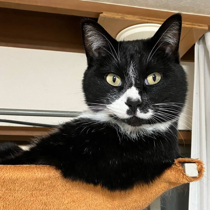 928fdc6a e9eb 4b8e a087 12cafa6d9974 1679542247017