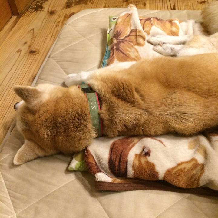 928ff2ea 4c5c 4ff6 a022 d36fa0c25fbb 1573824656405