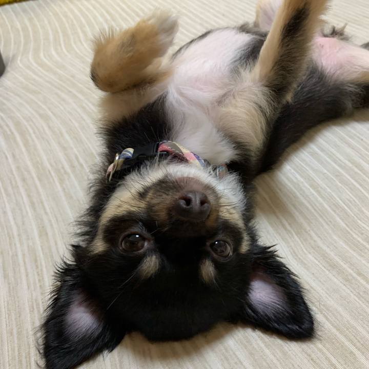 92900a63 5eb0 4c08 8bb9 91f59cd97f4e 1564524022080