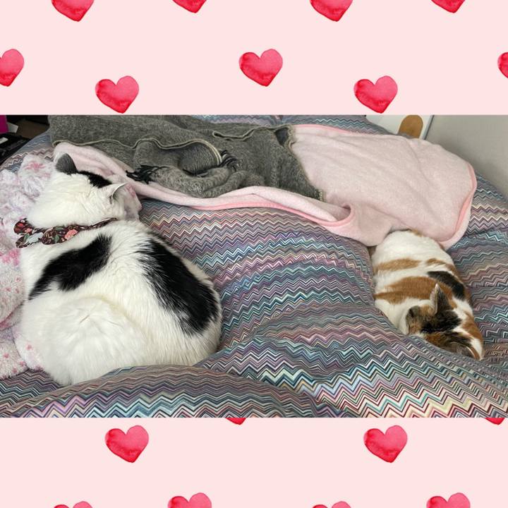 92901106 29b2 45c9 9b4b 7064fb5e1cd6 1677895530588