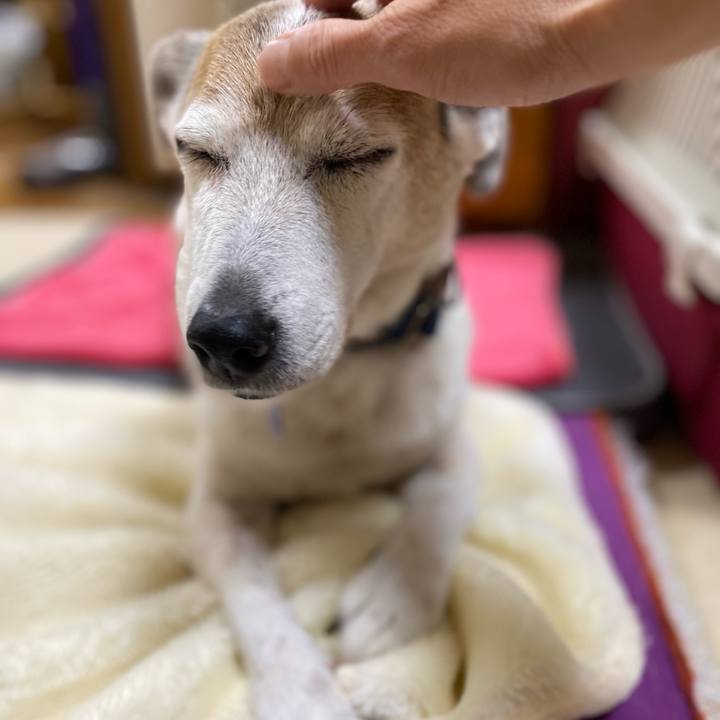 929014cb 8240 4148 9091 7b01bb8d9043 1657834567656