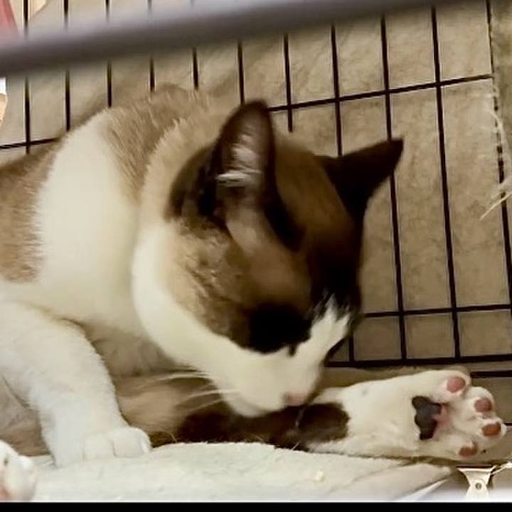 92901a94 cf84 4dc4 afb9 ee6cec52559a 1747474472436