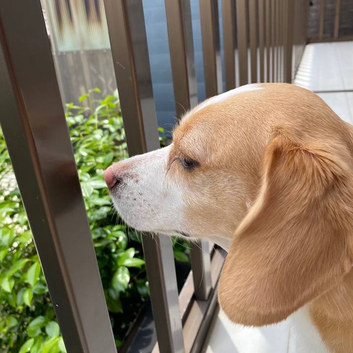 92905de1 988c 4658 8362 c9be12057479 1654502915511