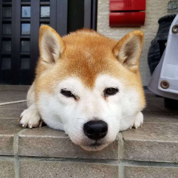 92906489 0f06 4dc4 bc41 33dac7aba47a 1633219865404