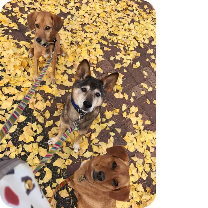 92907ac4 1e84 4206 bd23 14352676a996 1544000070183