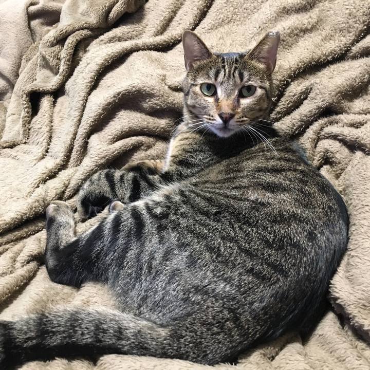 92908e41 af76 4b7c b15d 5590eda97ecd 1540206110268