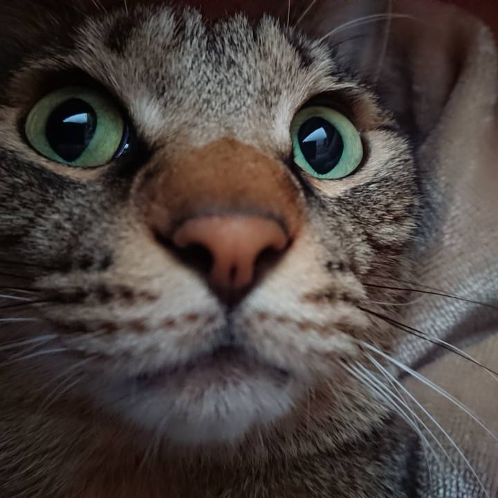 92910730 ebd9 45f9 a1b0 d98883c70b44 1573260006167