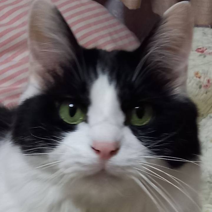 929143a7 33d4 42f2 a2f0 d6075567c12b 1614425260081