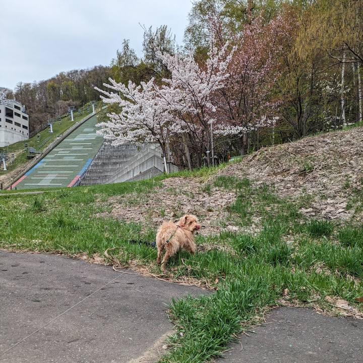 92914bd9 c1e8 4247 9dbf d15234dc26b4 1714337593385